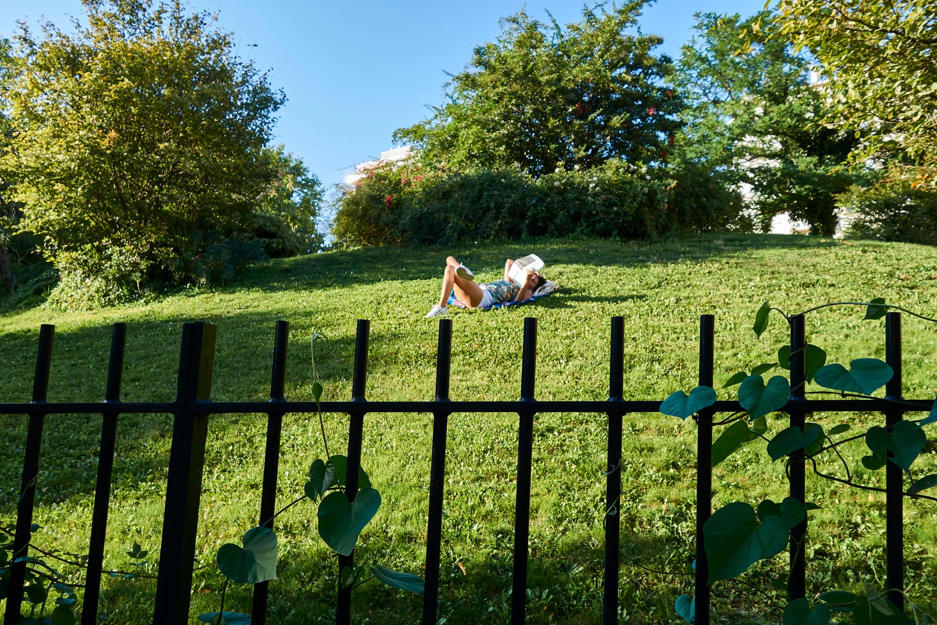 Photographie parc – Paris - Street